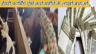 Dairy Farm Se Lakhon Kamane Ke Tarike Dairy Farm Real Profit