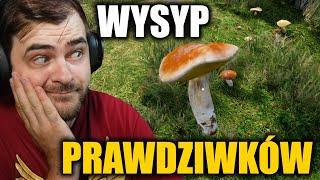 Wysyp prawdziwków w moim lesie - Mushroom Season #5