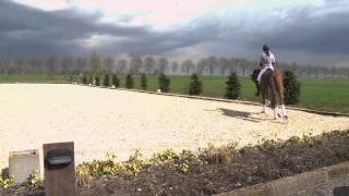 HOEFSLAG TEASER
