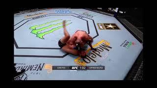 Dominick Reyes knocks Jiri Prochazka out from bottom guard