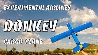 DONKEY RC Cargo Plane