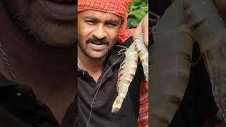 Fish of Sundarbans #mohsin_ul_hakim