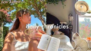 Daily chronicles| meet my kitten & lazy day at home