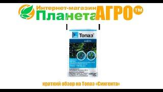️Краткий обзор на Топаз "ПЛАНЕТА АГРО"