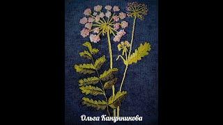Вышивка зонтичных.Ботаника,рисунок,материал.1Embroidery of plants . Botany, drawing, materials1