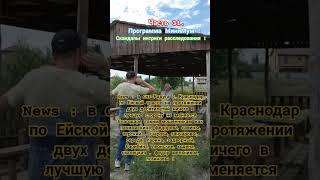 СНТ Радуга долг 30 млн руб, ответственность на понимаскинойсявиных бухалтерши федоровой