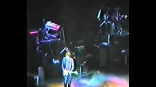 Eric Clapton & His Band (inc. MK & AC) - Concert RAH 1987