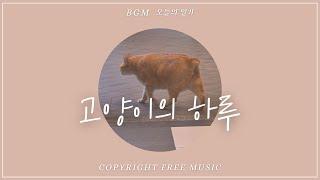 Oneul - 고양이의 하루 (My day) : 귀여운 재즈, 브이로그음악