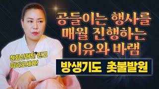 청화신당이 공들이는 행사를 진행하는 이유와 바램/ 공들이는 데 허사 없다 촛불발원 방생 칠월칠석 백중재      [인천용한점집 청화신당]