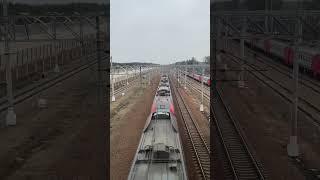 Ласточка проходит станцию Белоостров.
