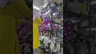 Любимое дело#цветы #greenhouse #orchid #цветущиеорхидеи #flowers #plants #phalenopsis #оранжерея