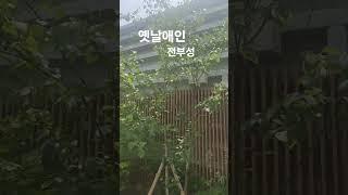 옛날애인~전부성