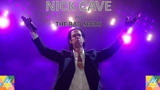 NICK CAVE AND THE BAD SEEDS   Live    Výstaviště Praha