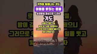 어둠을 밝히는 등불 | 기적이 일어나는 기도 | #말씀조은tv #조현상목사#목양교회 #성경암송 #큐티 #1분말씀묵상 #기도