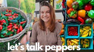 My FAVORITE, Tried and True Pepper Varieties | garden chat