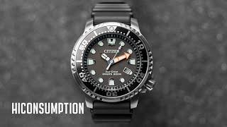 The Best $300 Dive Watch? - Citizen Promaster Diver Watch Review