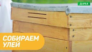 Собираем улей вместе. Как правильно самостоятельно собрать улей из дерева?