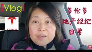 [Vlog] 多伦多地产经纪谈Tesla车和买房子的事 #新房 #买房 #Teslamodely #特斯拉车主 #房地产