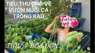 KHỞI NGHIỆP : TIỂU THƯƠNG VỀ VƯỜN NUÔI CÁ TRỒNG RAU - CHỨNG MINH NGUỒN GỐC CÁ và RAU 0912720909