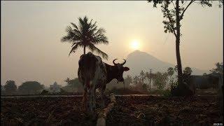 Giri Valam With Arunachala Stuti Panchakam