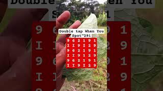 Double tap When You Spot"291 #search #brainteaser #quiz