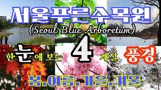 서울푸른수목원(Seoul Blue Arboretum) 4 계절(봄.여름.가을.겨울:Spring, Summer, Fall, Winter) .한눈으로 보는 서울의 명소