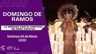 EN DIRECTO: Domingo de Ramos | Semana Santa de Sevilla 2024 | Onda Capital