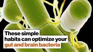 How to optimize your gut and brain bacteria | Dave Asprey | Big Think