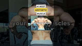The MOST Important Muscle for Aesthetics