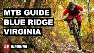 Mountain Biking in Blue Ridge, Virginia - The Complete Guide | Local Flavours