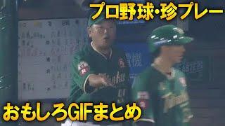 【大量】プロ野球・珍プレーおもしろGIFまとめ【笑ったら負け】