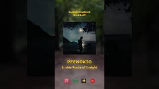 PEENOKIO new album 2024 #music #ambient #newage #newartist #meditation #meditationmusic