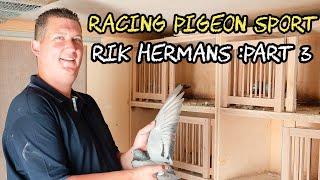 Rik Hermans' Breeding and Selection Secrets: Building a Champion Racing Pigeon Team | Part 3