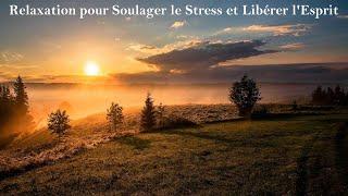 RELAXATION Intense pour Évacuer le Stress, les Pensées Négatives et Libérer l'Esprit • 5 Heures