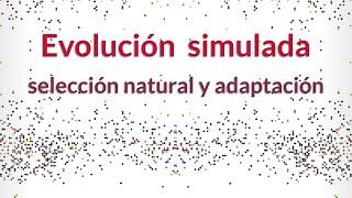 Simulan la evolución por ordenador: Selección natural y adaptación.