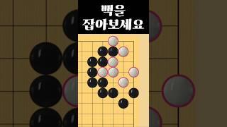 쉬운 바둑 사활 - 첫 수에 95%는 틀립니다