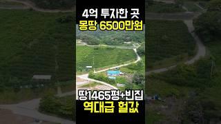 4억투자 결국몽땅 6500만원 땅 1465평 빈집