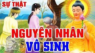 Nhân Quả Không Chừa Ai, Sự Thật NGUYÊN NHÂN VÔ SINH - Gieo Nhân Nào Gặt Quả Nấy | Nghe Mà Tránh