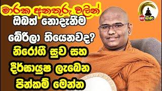 Mathra mahinda Thero - 2024 09 01 Neth Fm Bana