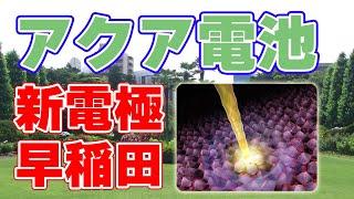 アクア電池の新電極を早稲田大学が発表しました。