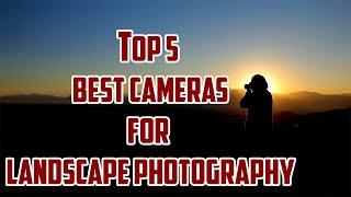 Top 5 Best Camera For Landscape Photography 2021 (On a Budget)