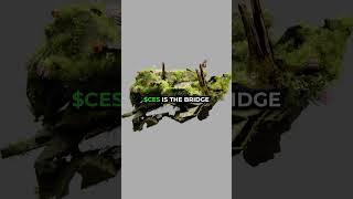 Introducing $CES by Meta Whale!