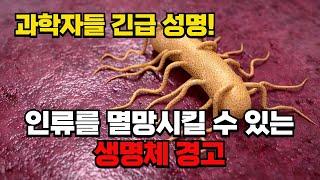 과학자들 긴급 발표! 인류를 멸망시킬 수 있는 생명체 경고