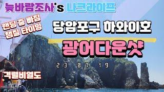 7월 19일 격렬비열도 광어다운샷 출조. [랜딩 중 빠질 시 챔질 타이밍 조절, 광어다운샷 상황별 실제 운용/액션법]