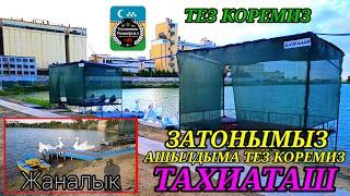 ЖАНЕ ЖАНАЛЫК ЗАТОНДА ТЕЗ КОРЕМИЗ#тахиаташ#каракалпакистан#демалыс#отдых#пляж#суу#вода#купания#шомылу