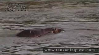 Jack Brittingham's Tanzania Adventures - Archery Hippo Hunt