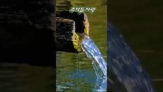#조약돌사랑 #장민 #김영희우리옷tv