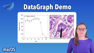 DataGraph Demo: Graphs & Images