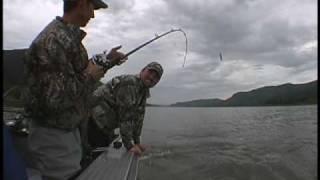 Sturgeon Fishing Columbia River - Steves Guided Adventures