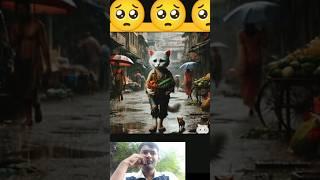 #cat#chew#meu#poor  meow meow #cat #shorts #funny meow